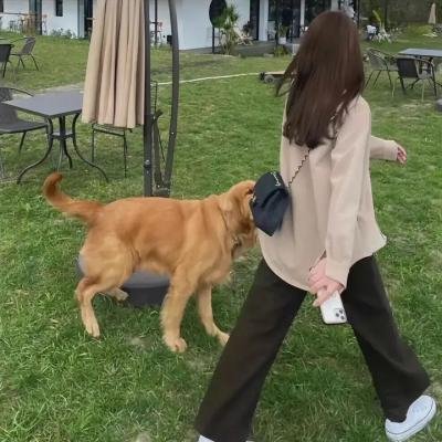 背离